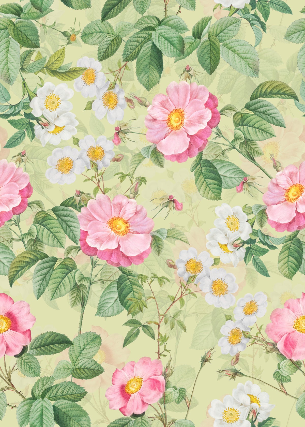 Rose Garden Reverie 1 Wallpaper⁠