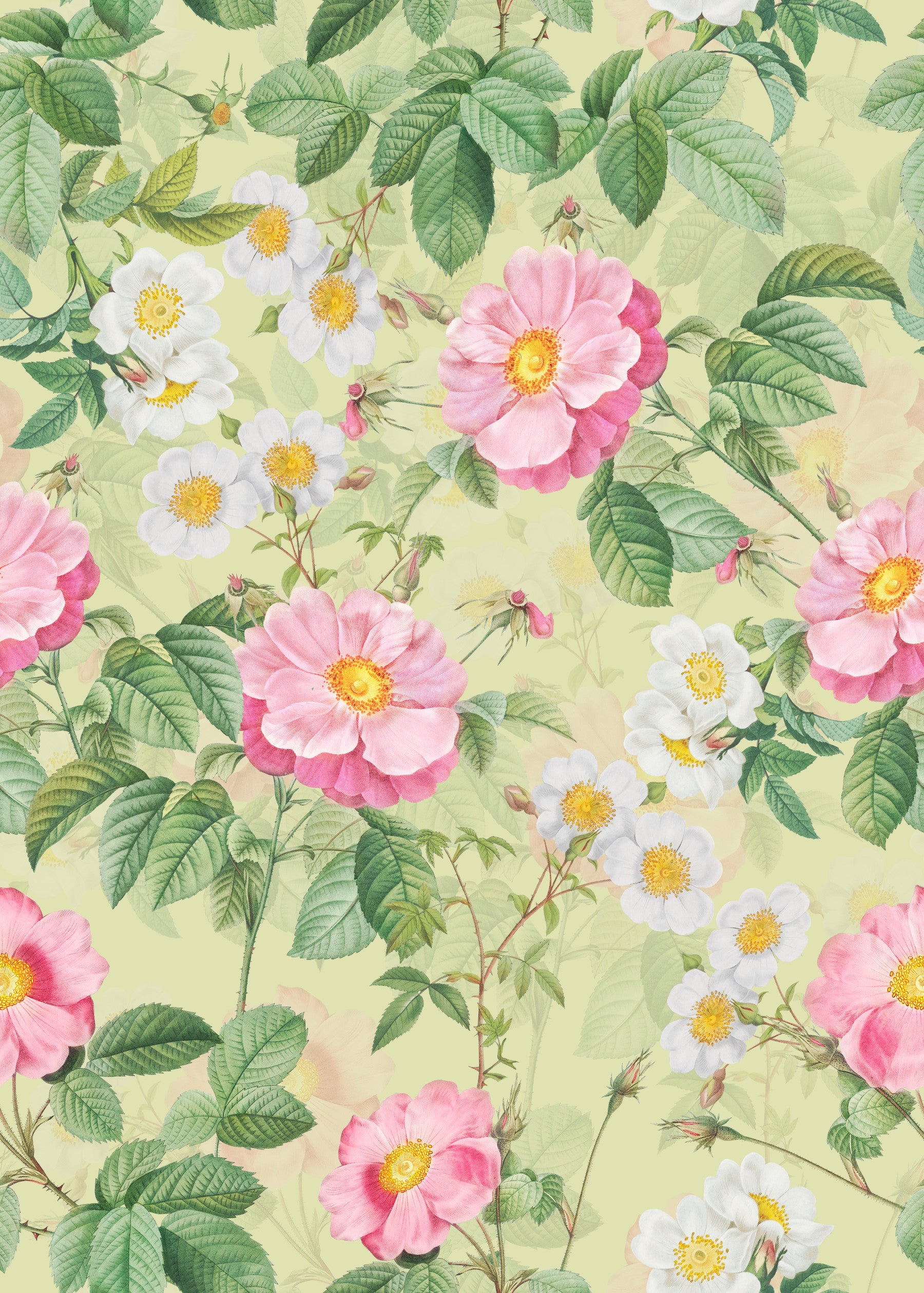 Rose Garden Reverie 1 Wallpaper⁠