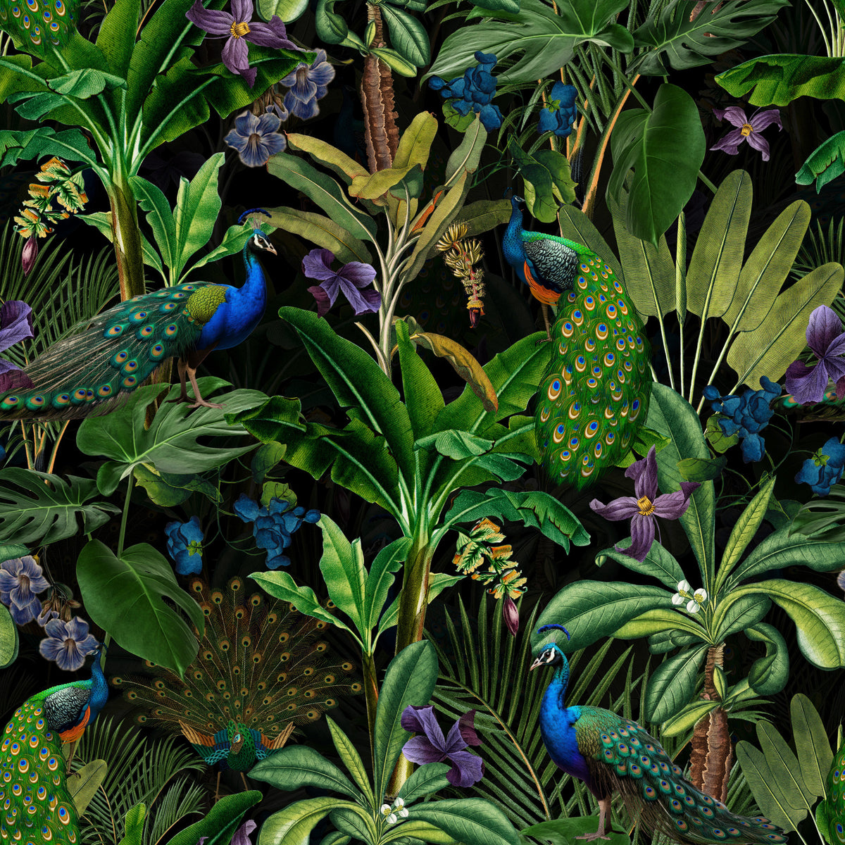 Peacock Midnight Paradise Wallpaper⁠ in your room — zoomed
