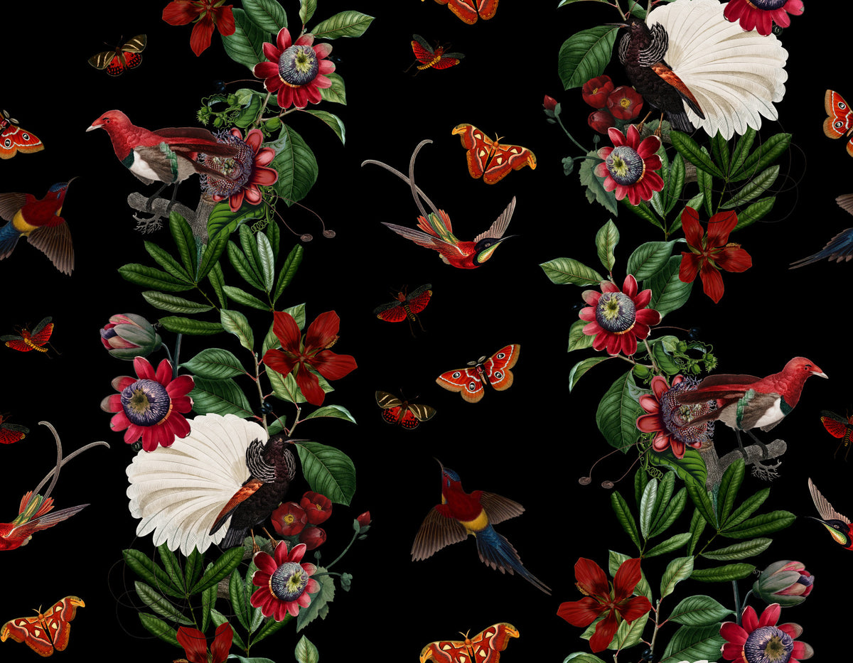 Exotic Nights Wallpaper⁠ in your room — zoomed