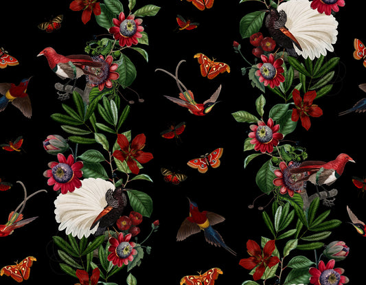 Exotic Nights Wallpaper⁠