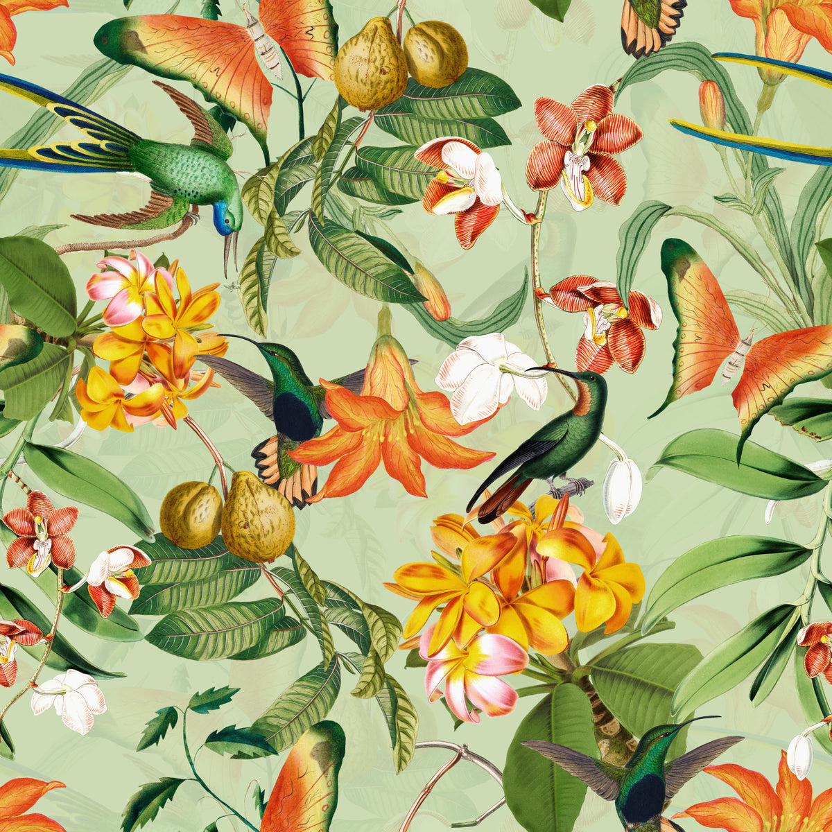 Botanical Bird Rhapsody Wallpaper⁠