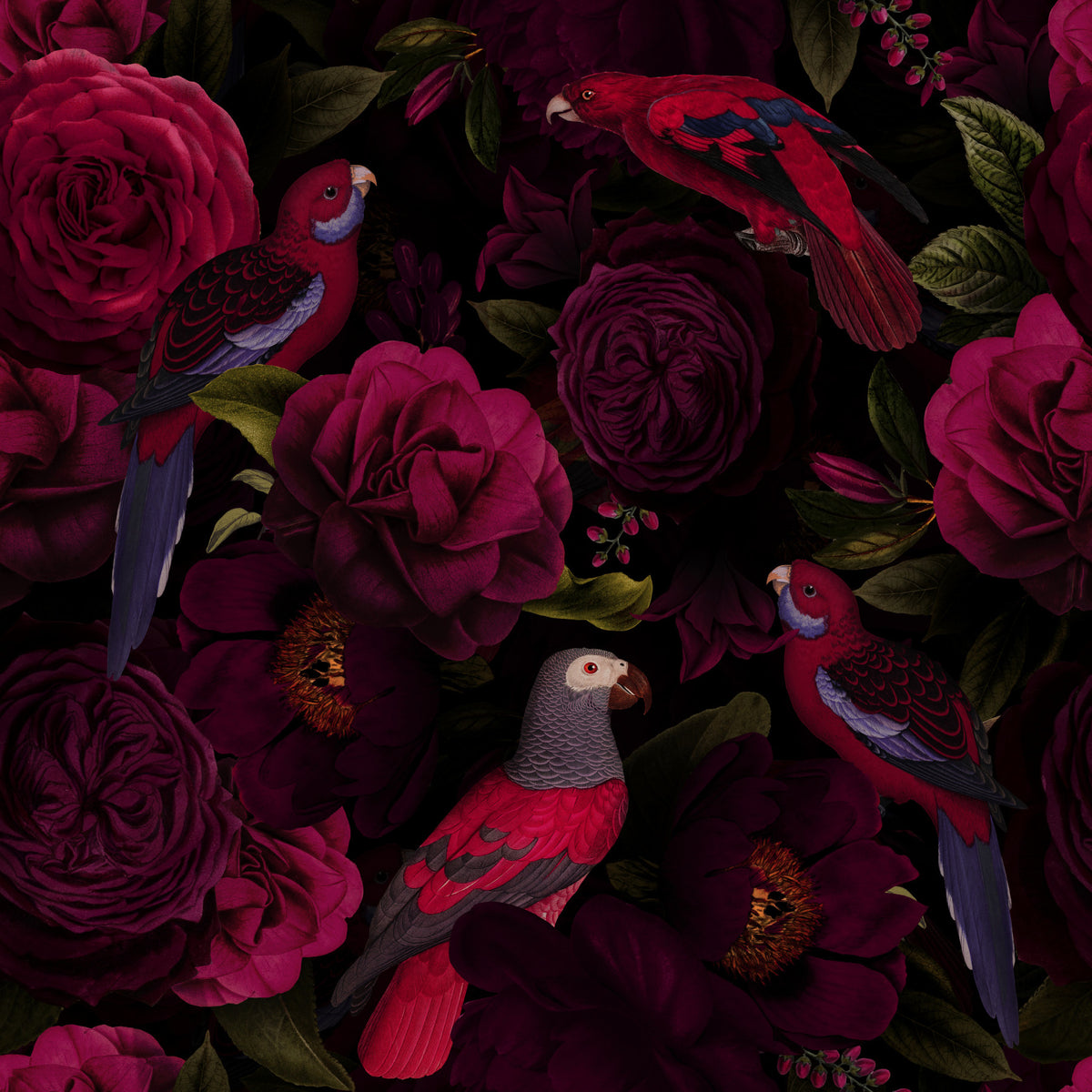 Midnight Bloom 1 Wallpaper⁠ in your room