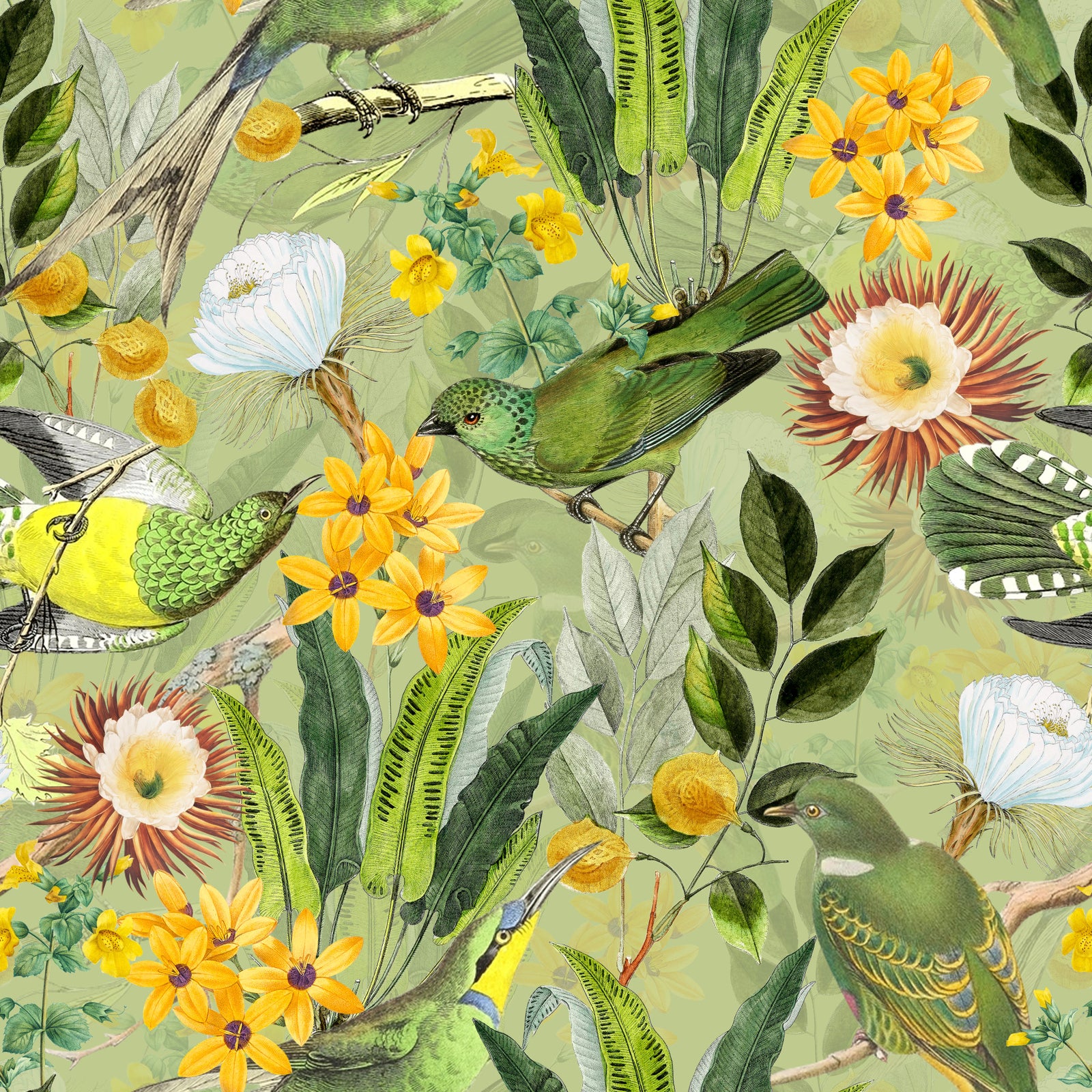 Serene Tropical Aviary Wallpaper⁠ in your room