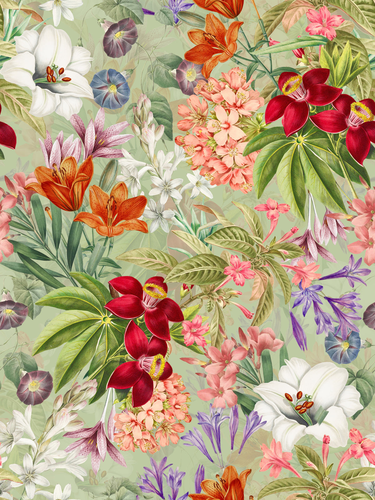 Vintage Botanical Garden 1 Wallpaper⁠ in your room