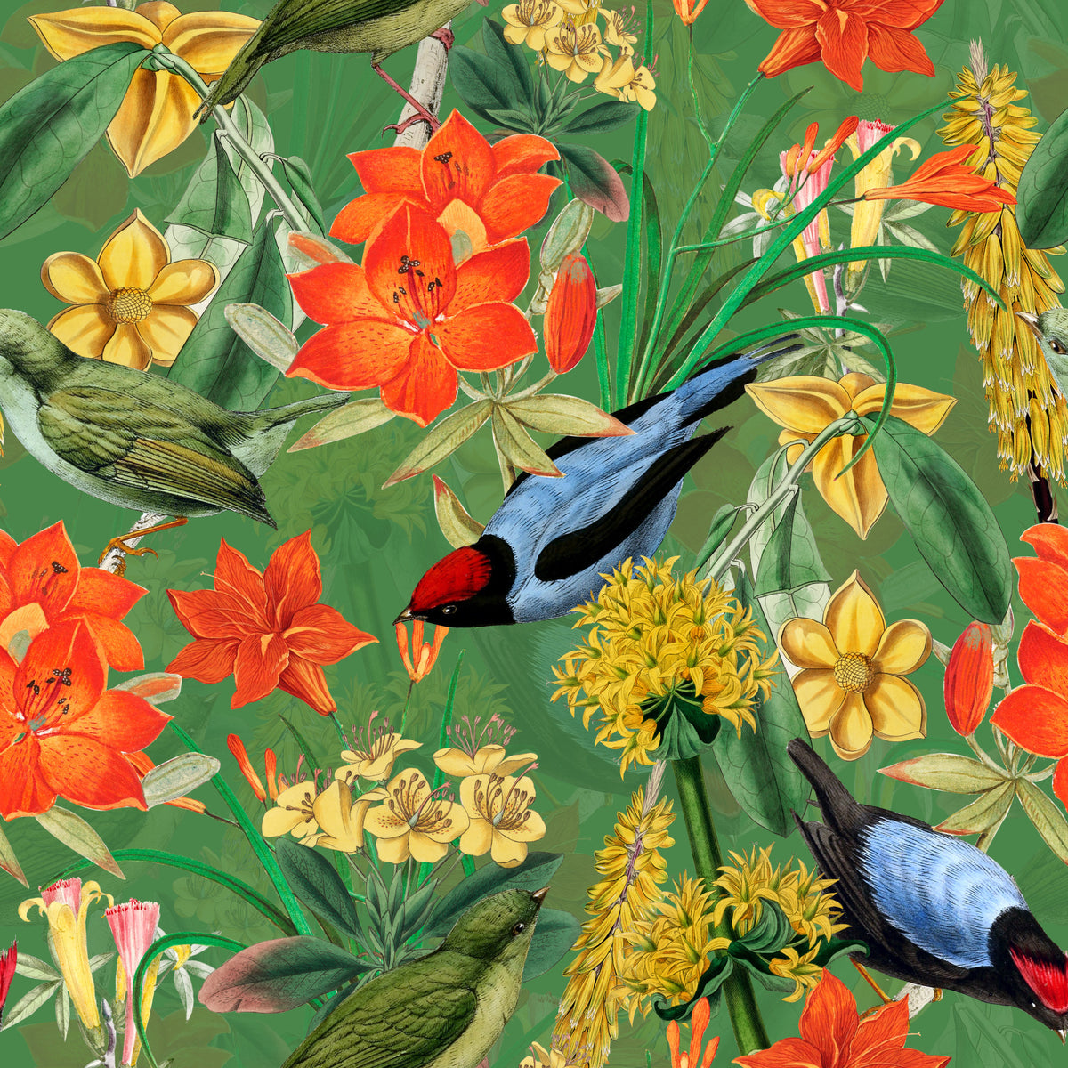 Botanical Birdsong Wallpaper⁠ in your room