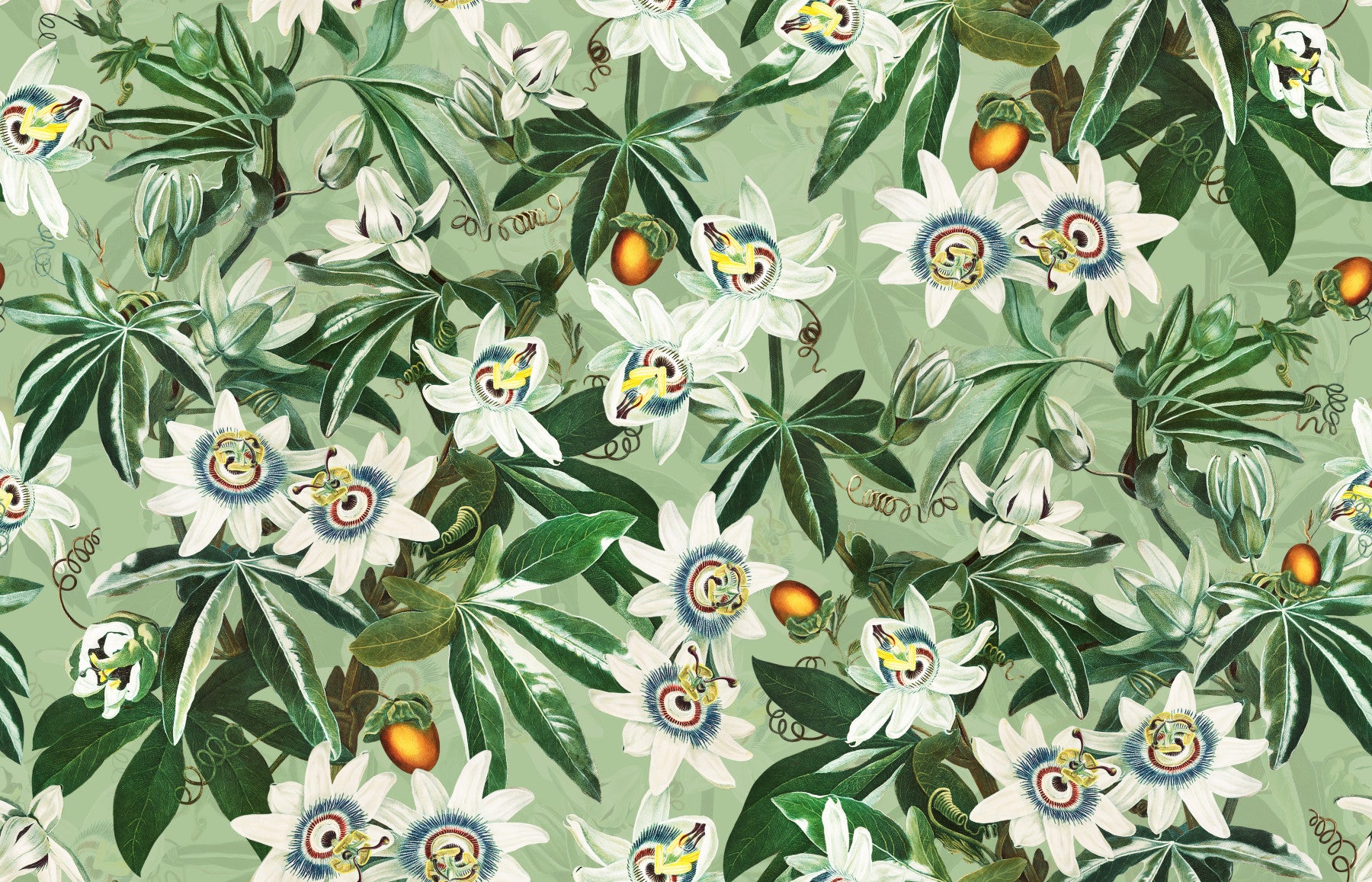 Passionflower Paradise Wallpaper⁠ in your room — zoomed