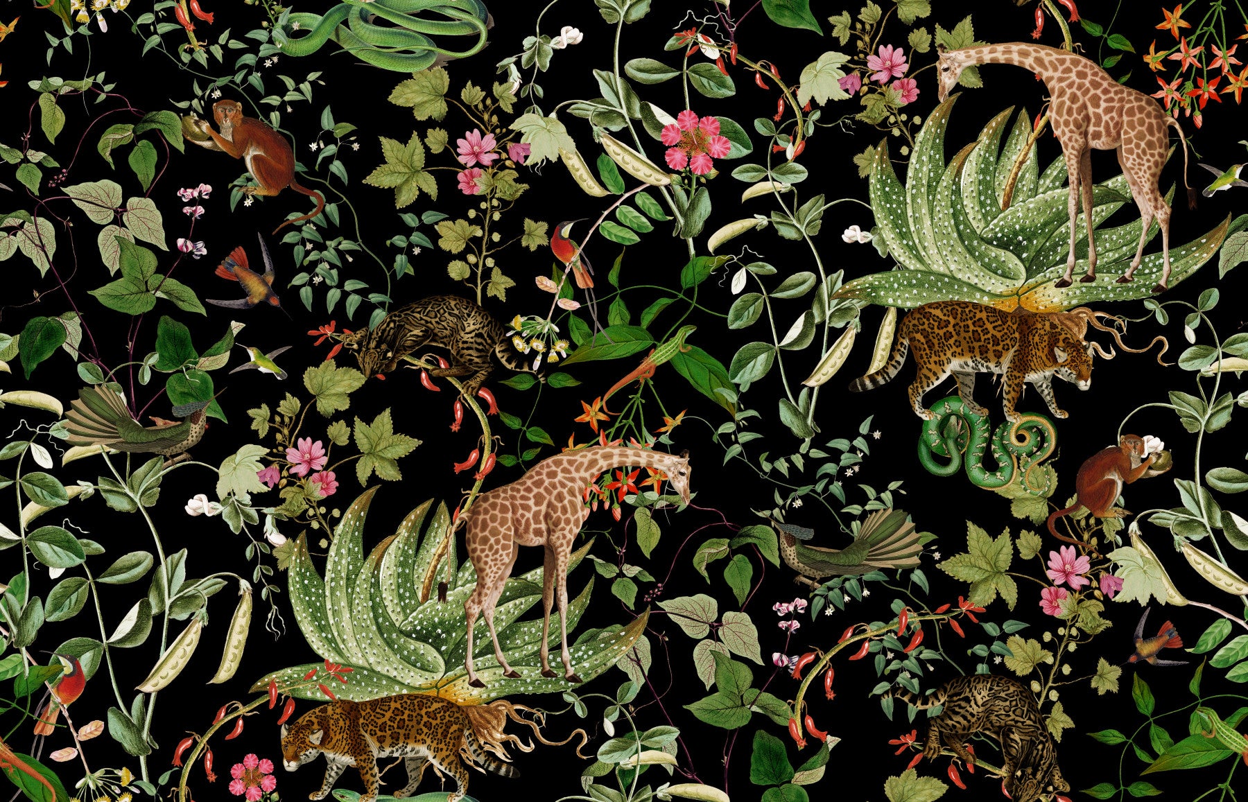 Whispers of the Wild Wallpaper⁠