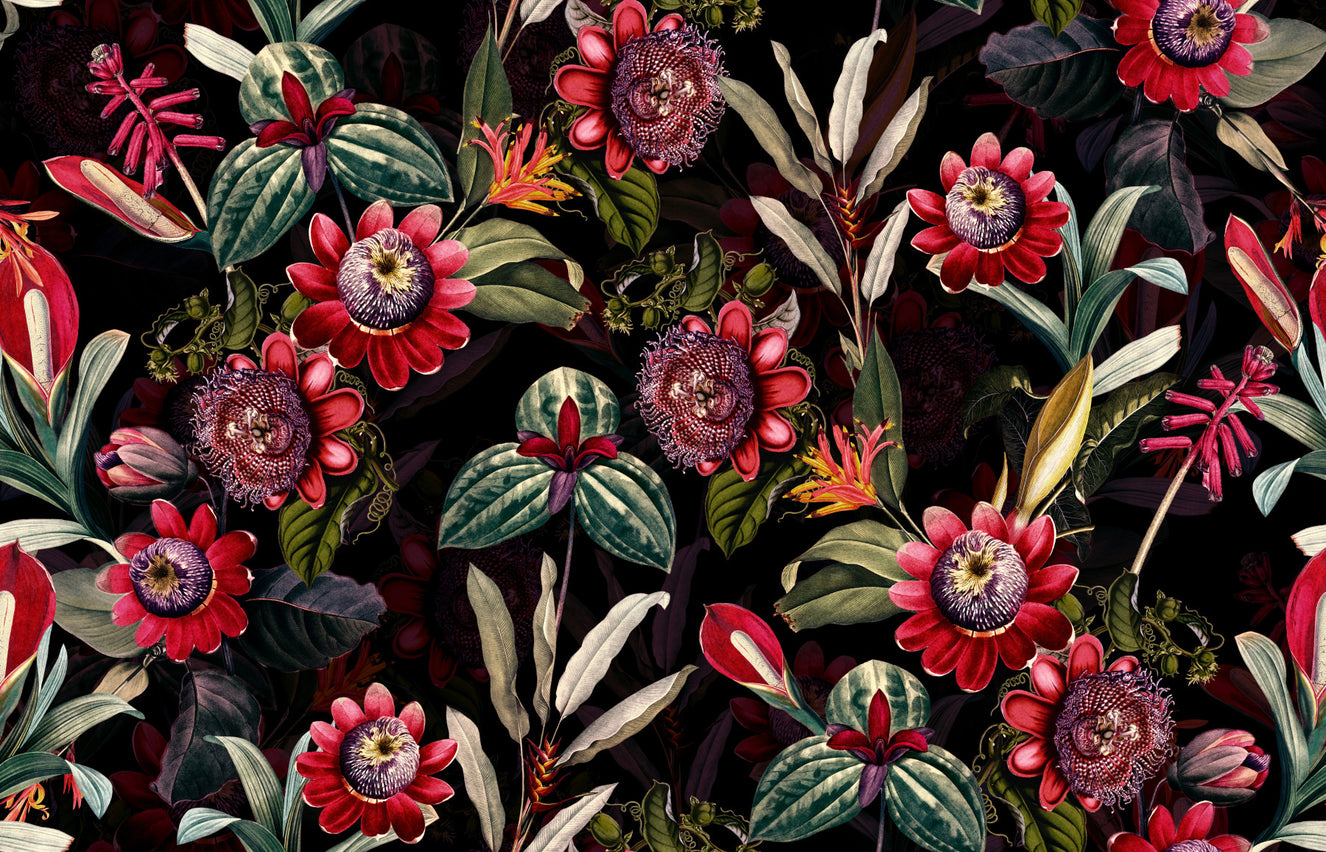 Midnight Bloom 2 Wallpaper⁠