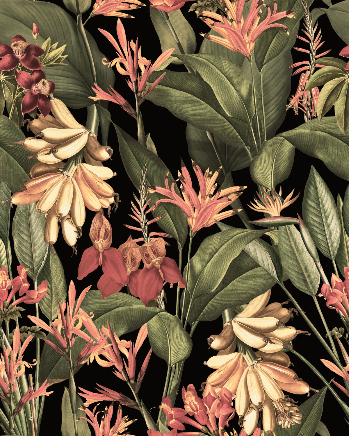 Tropical Nights Wallpaper⁠