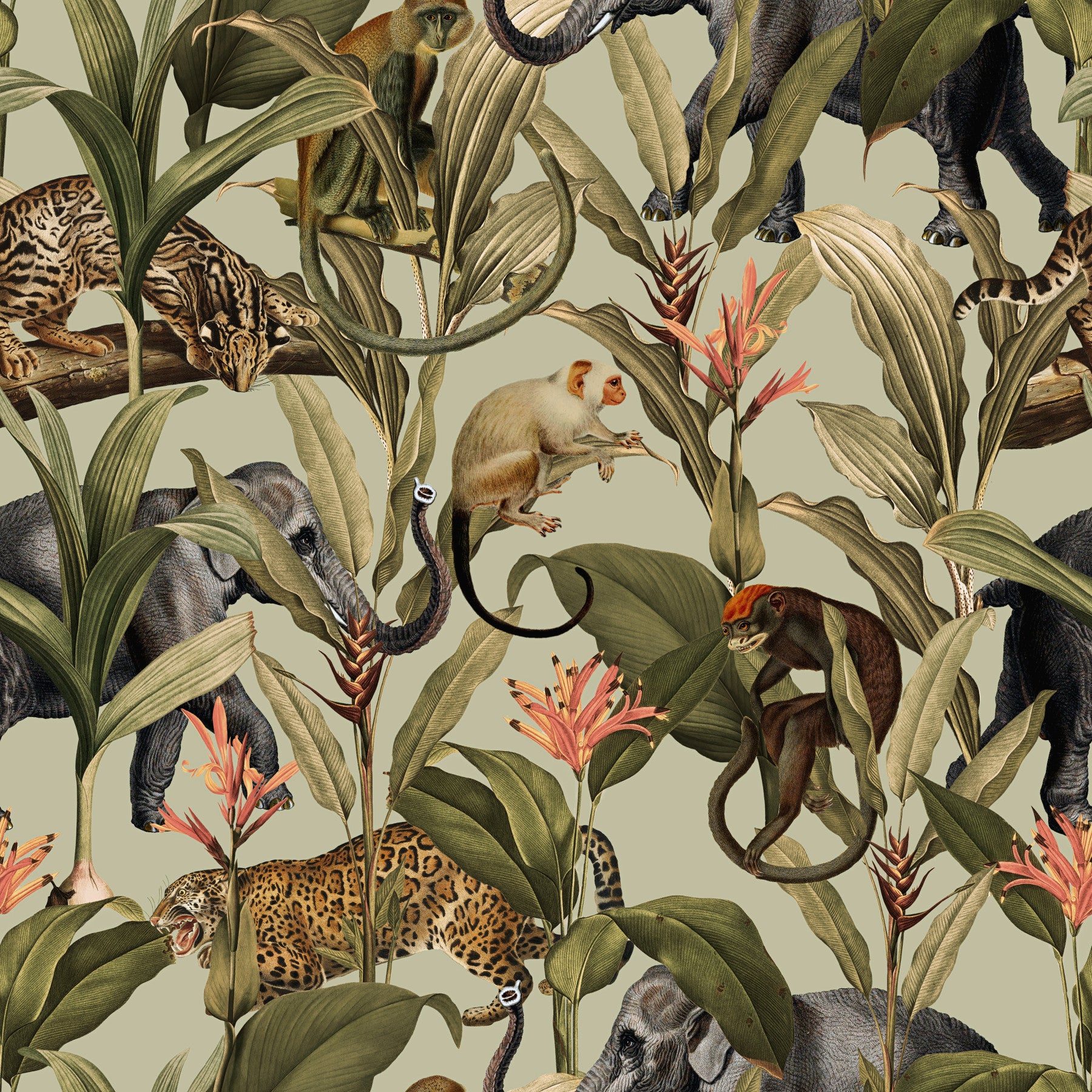 Jungle Majesty 1 Wallpaper⁠ in your room — zoomed