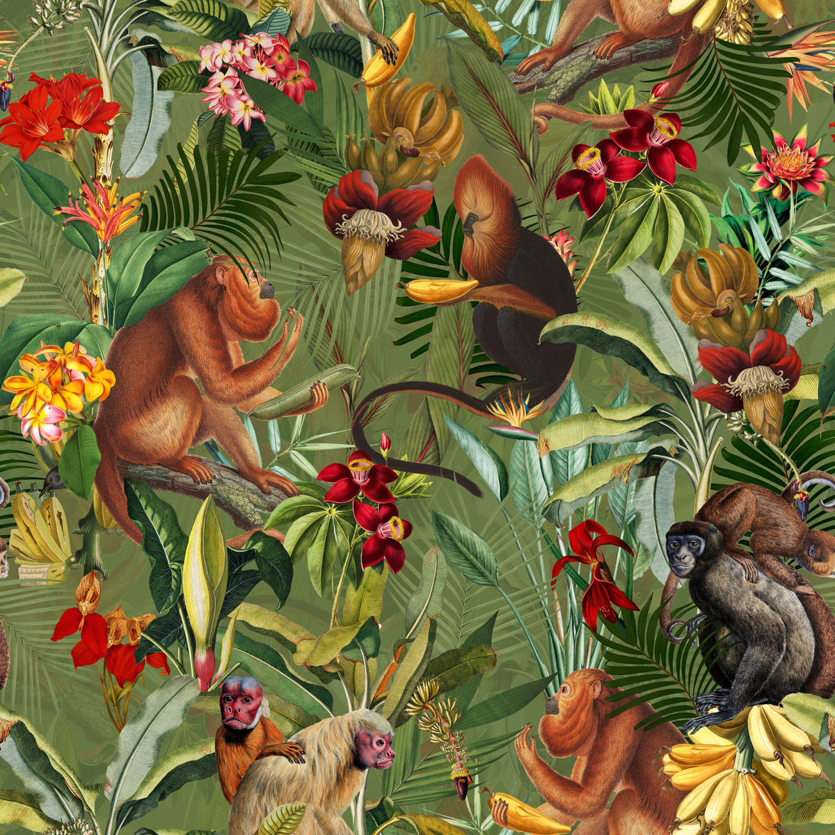 Jungle Rendezvous Wallpaper⁠