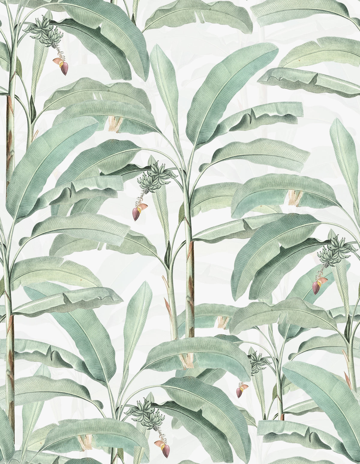 Tropical Botanical Dream Wallpaper⁠ in your room — zoomed