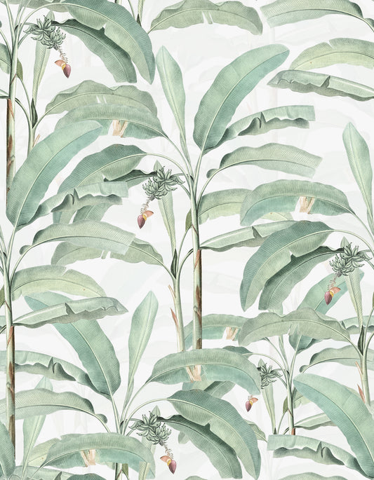 Tropical Botanical Dream Wallpaper⁠