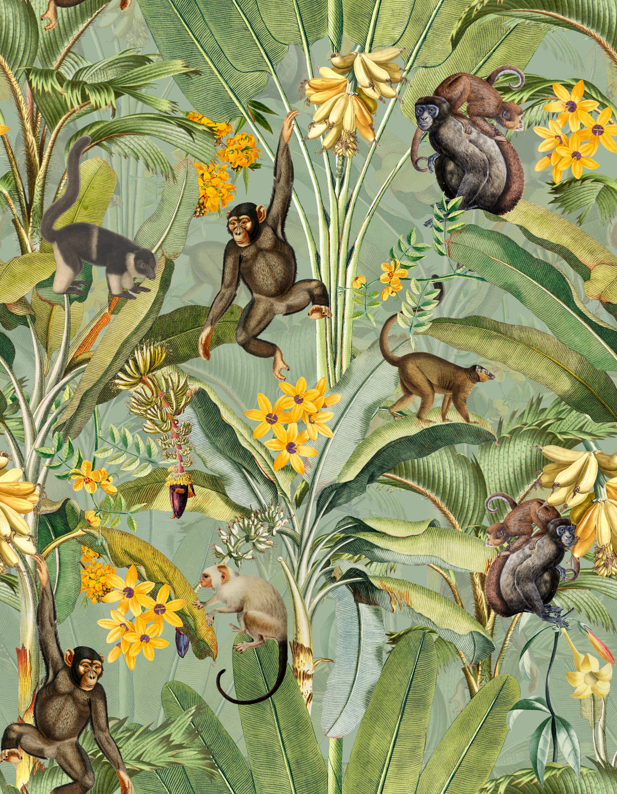 Tropical Monkey Business Wallpaper⁠ in your room — zoomed