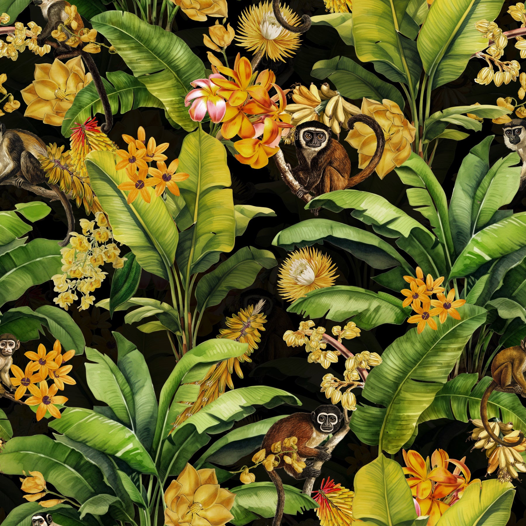 Midnight Monkeys Wallpaper⁠