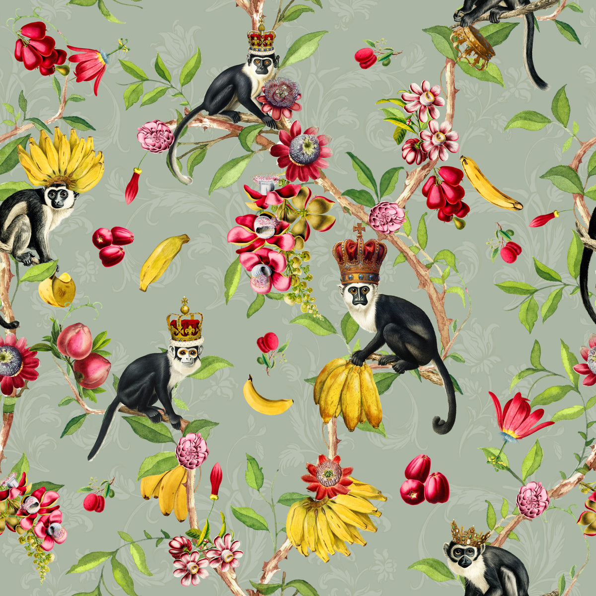 Exotic Monarchs Wallpaper⁠ in your room — zoomed