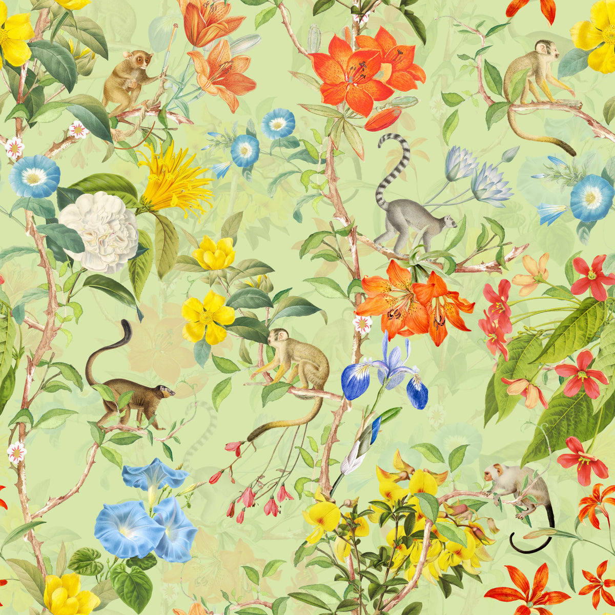 Tropical Paradise Wallpaper⁠ in your room