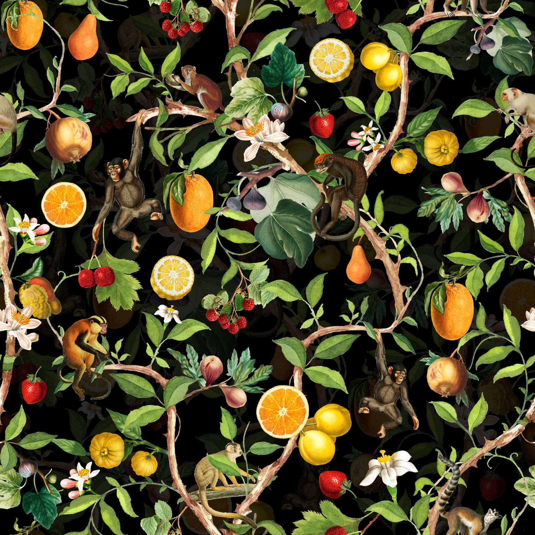 Vibrant wallpaper featuring playful primates and colorful flowers.

