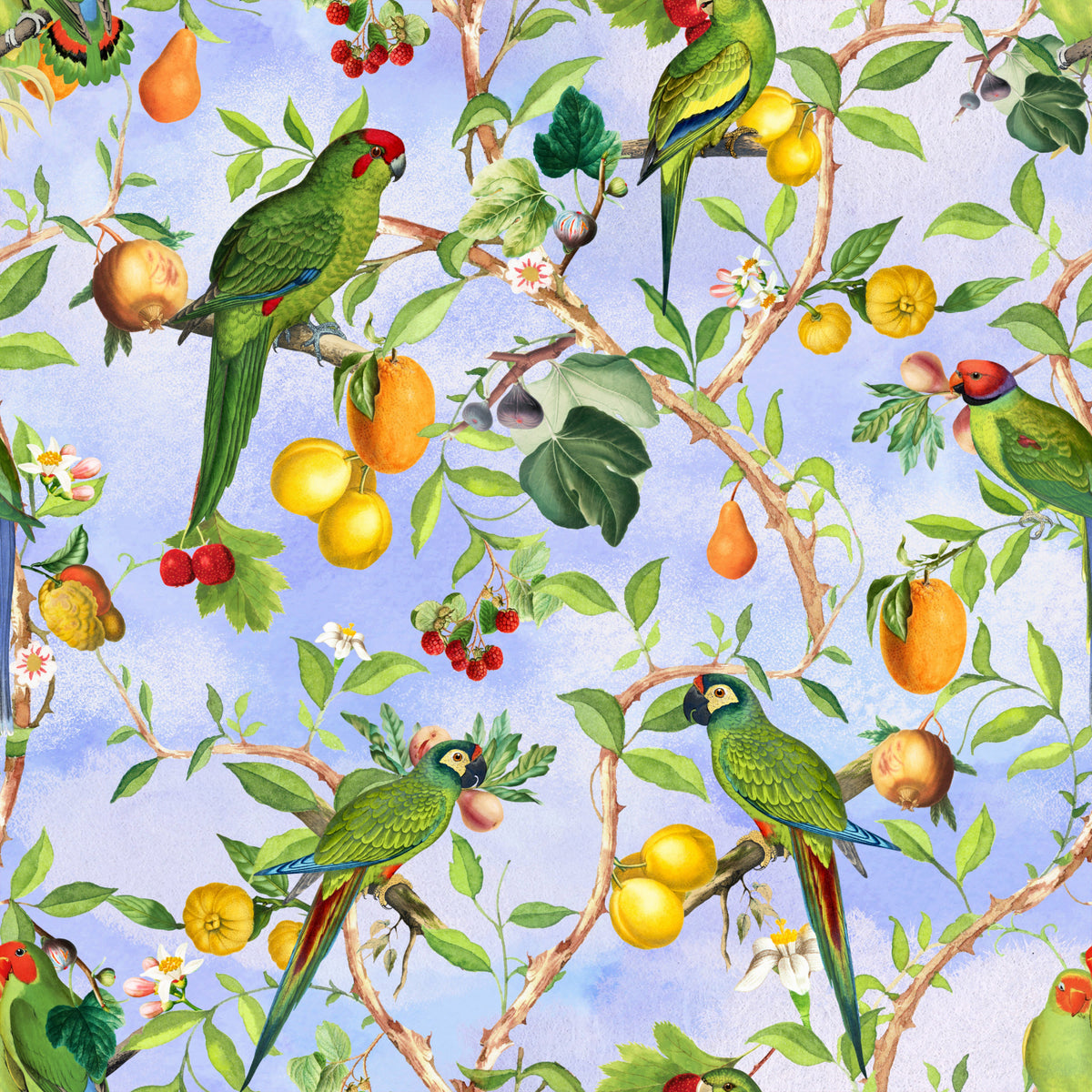 Tropical Paradise Birds 1 Wallpaper⁠ in your room — zoomed
