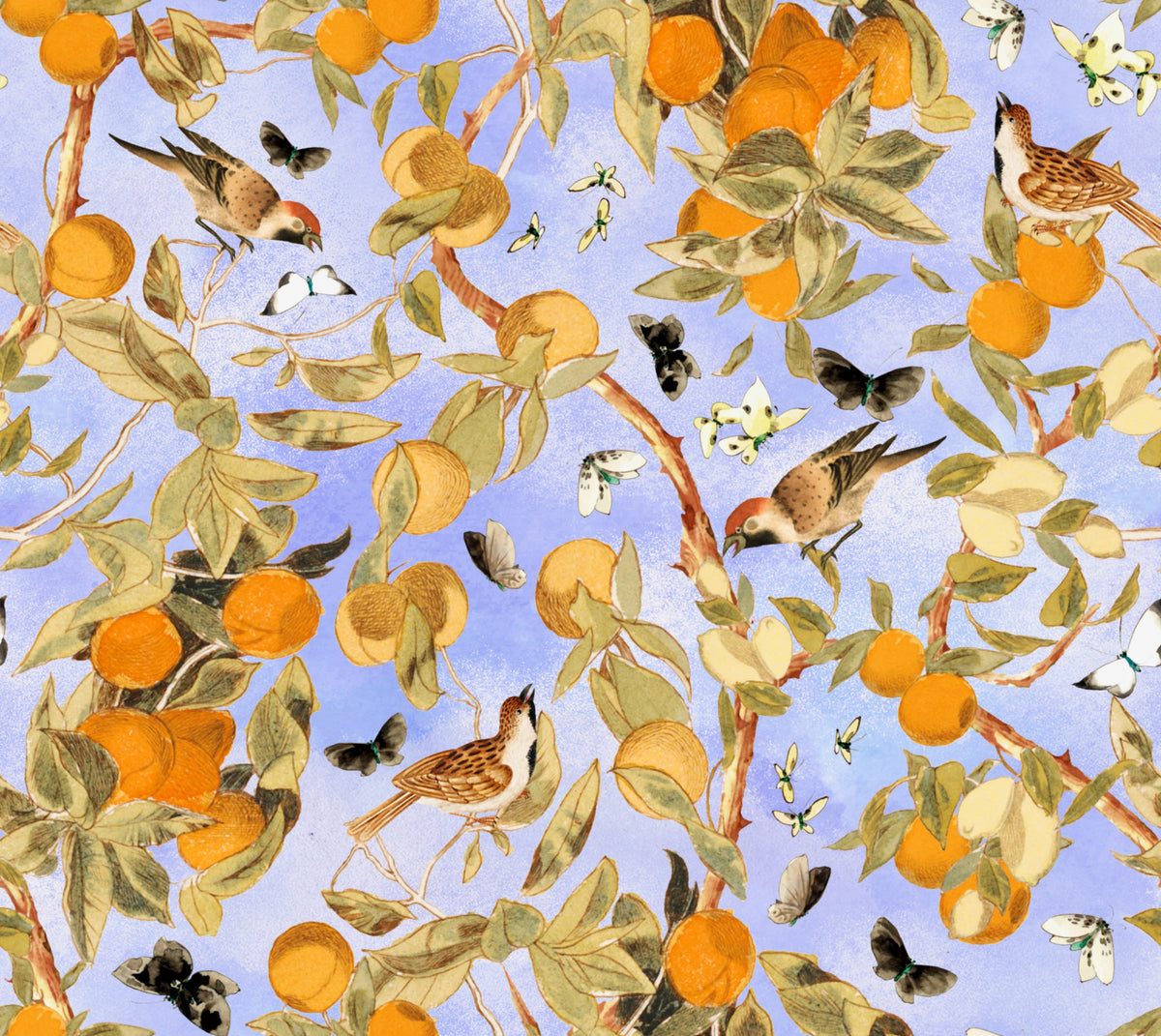 Citrus Serenade Wallpaper⁠