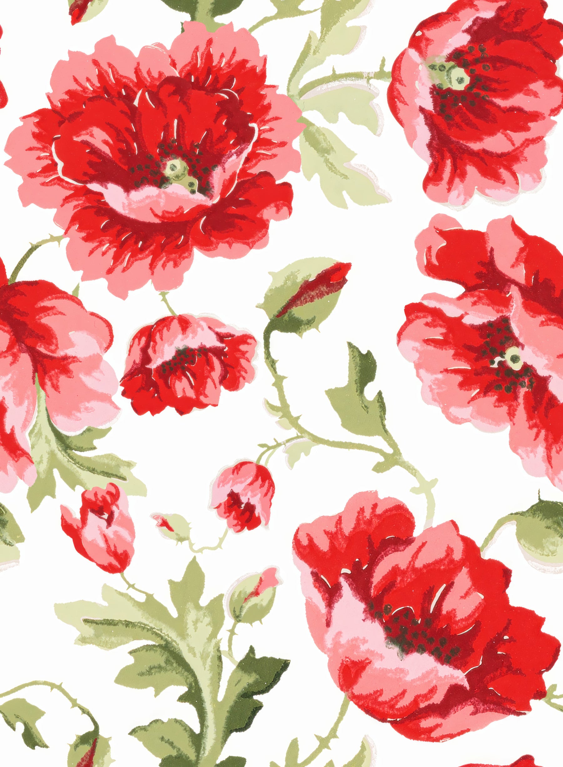 Watercolor Poppy Garden Wallpaper⁠