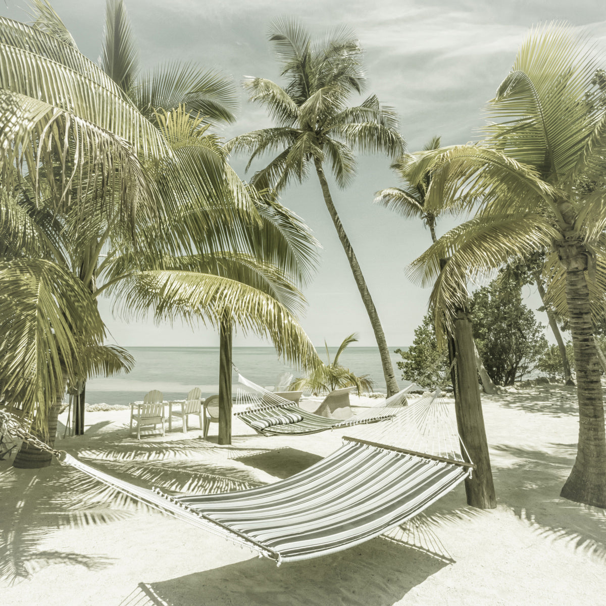 FLORIDA Heavenly Place | Vintage Wall Mural