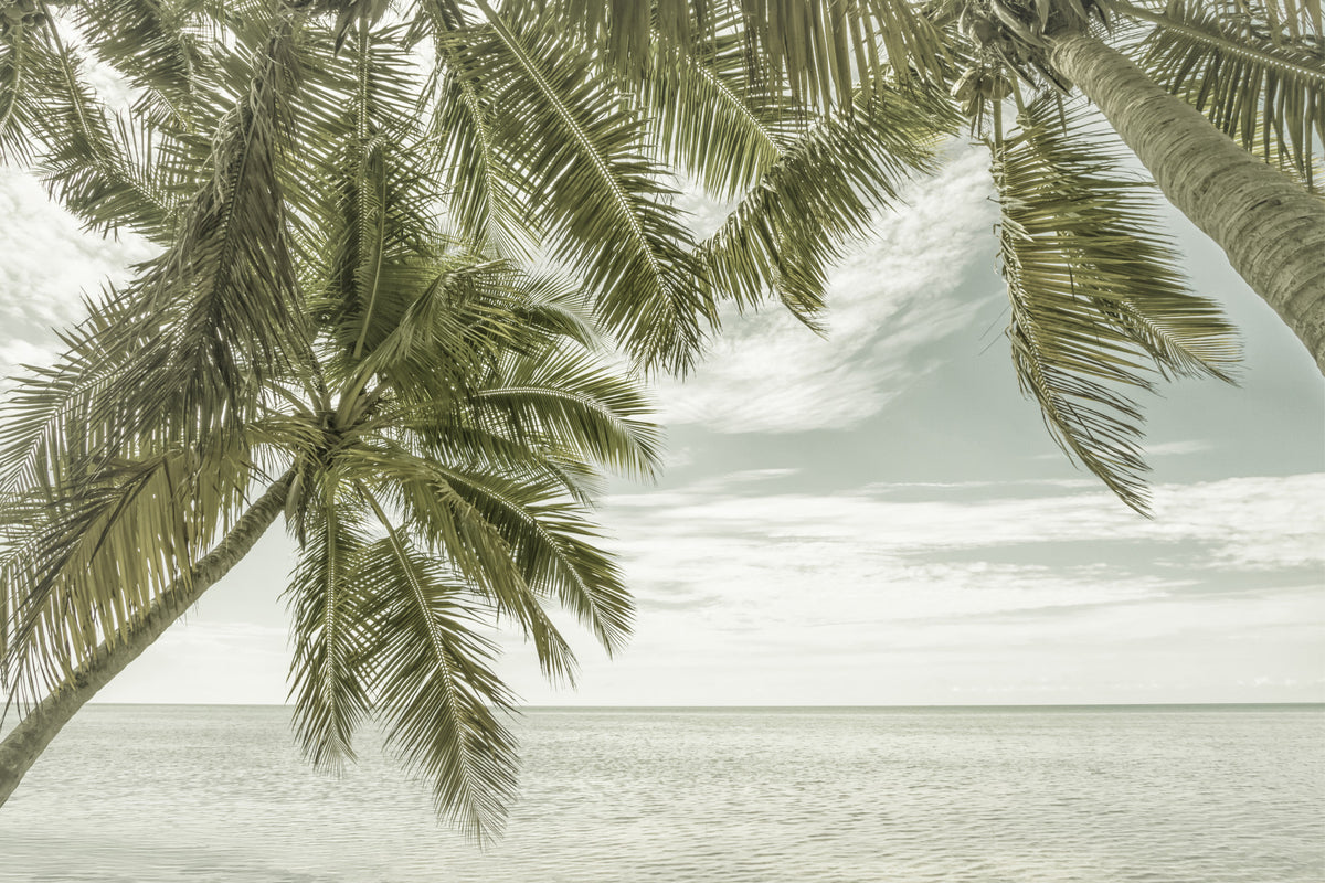 FLORIDA Ocean view | Vintage Wall Mural in your room — zoomed