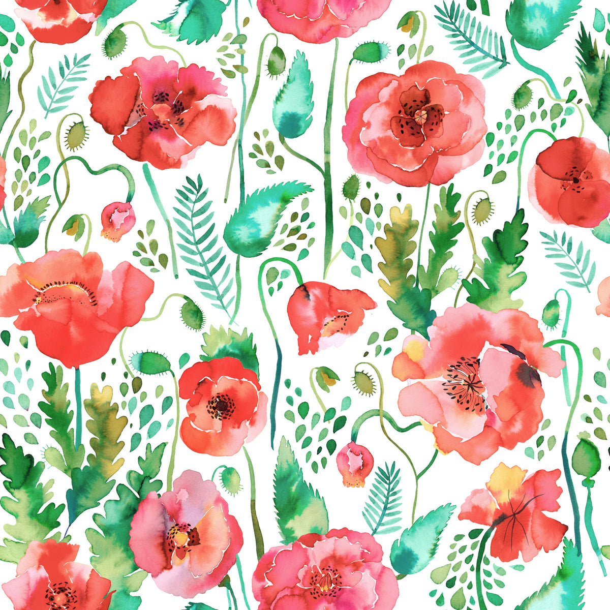 Spring Poppies Nature Watercolor Plants Wallpaper⁠ in your room — zoomed