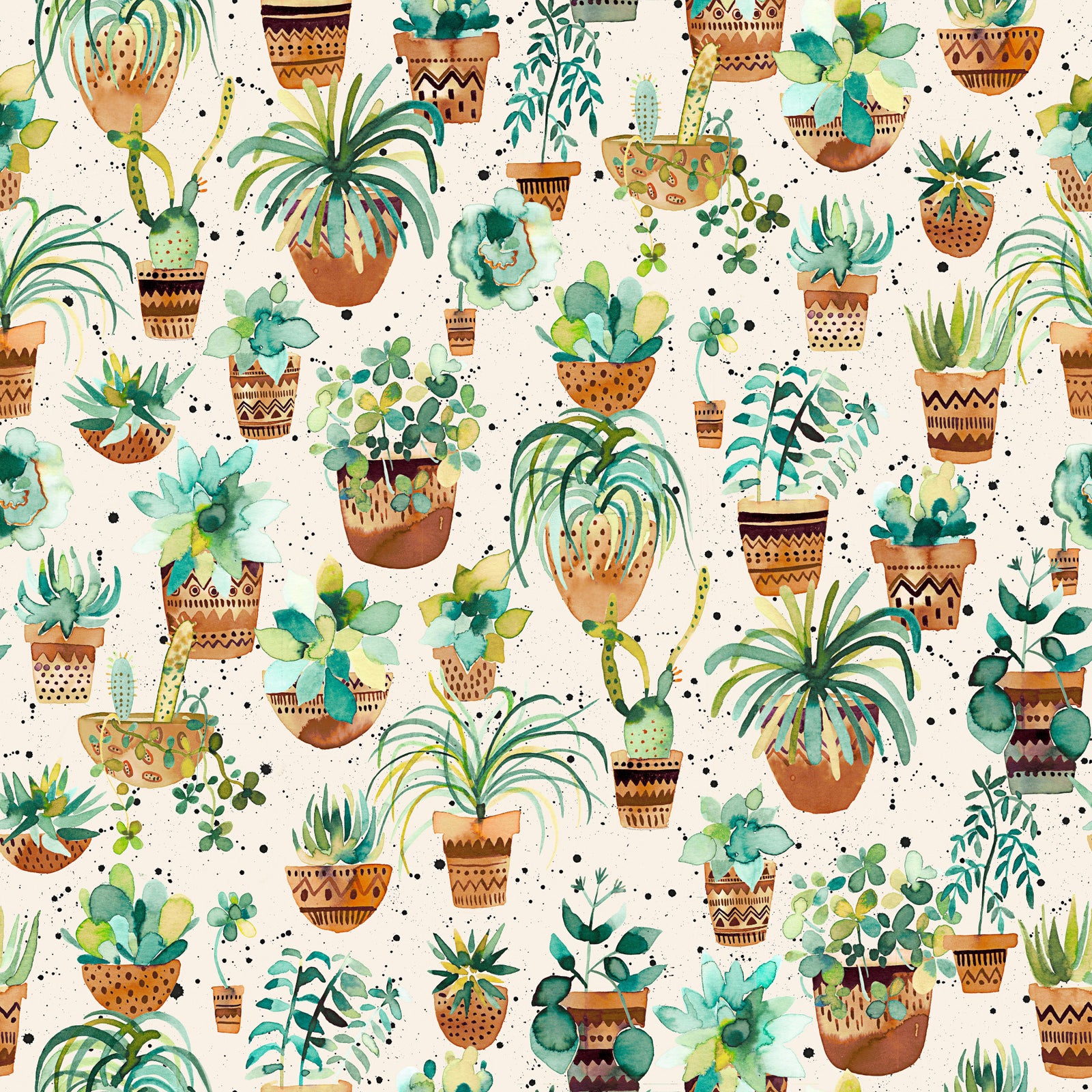 Succulent Home Pots Plants Wallpaper⁠