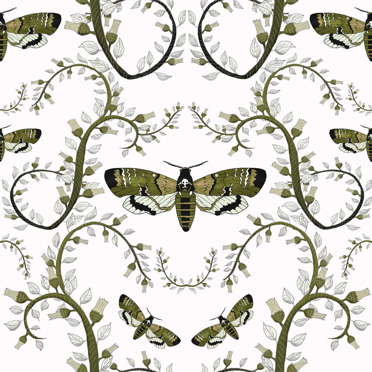 Death's-Head Hawkmoth Garden Wallpaper⁠