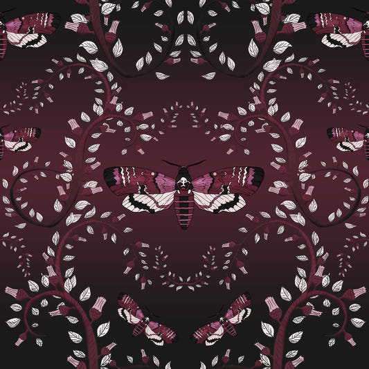 Crimson Moth Dance Wallpaper⁠