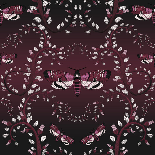Crimson Moth Dance Wallpaper⁠