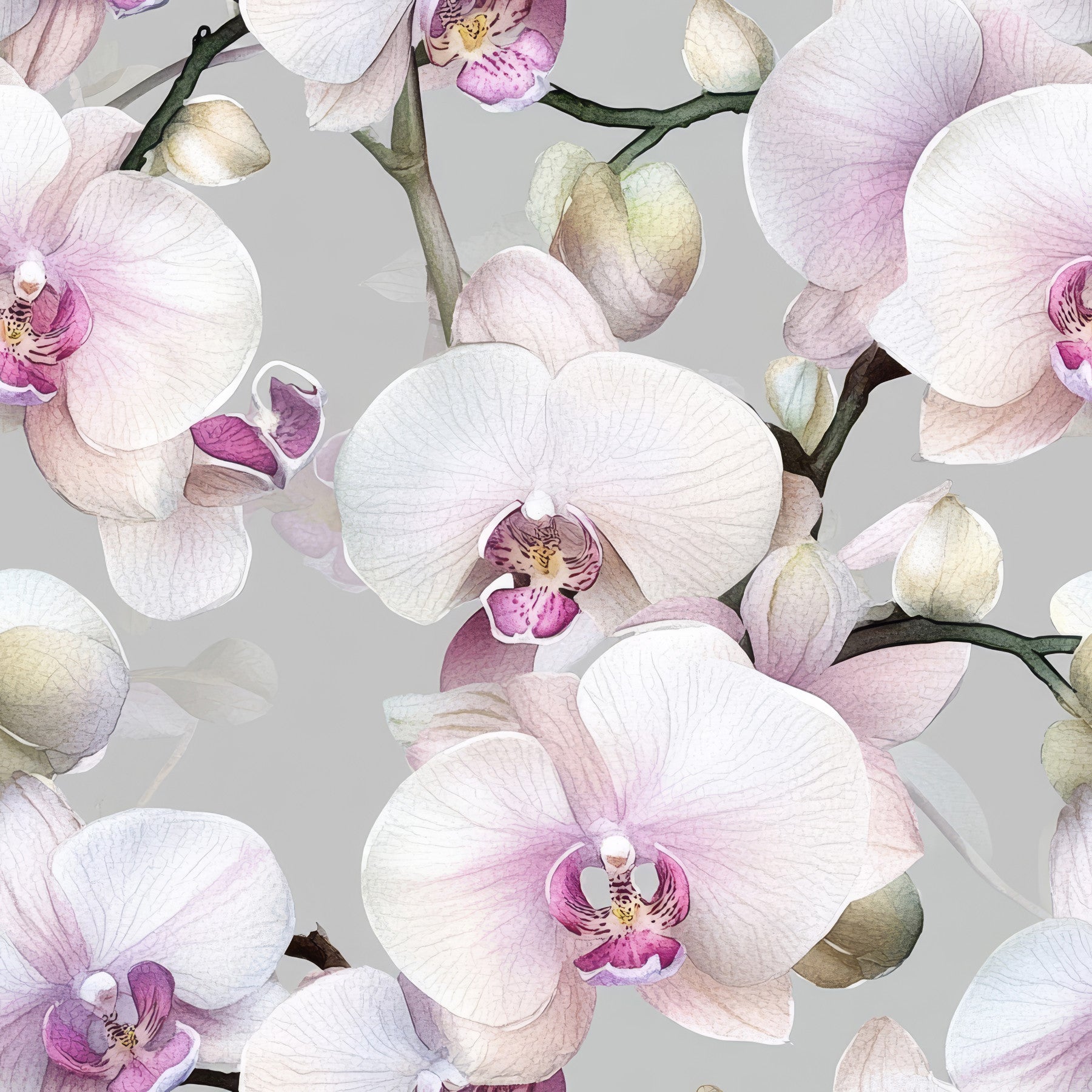 Elegance of the orchid Wallpaper⁠