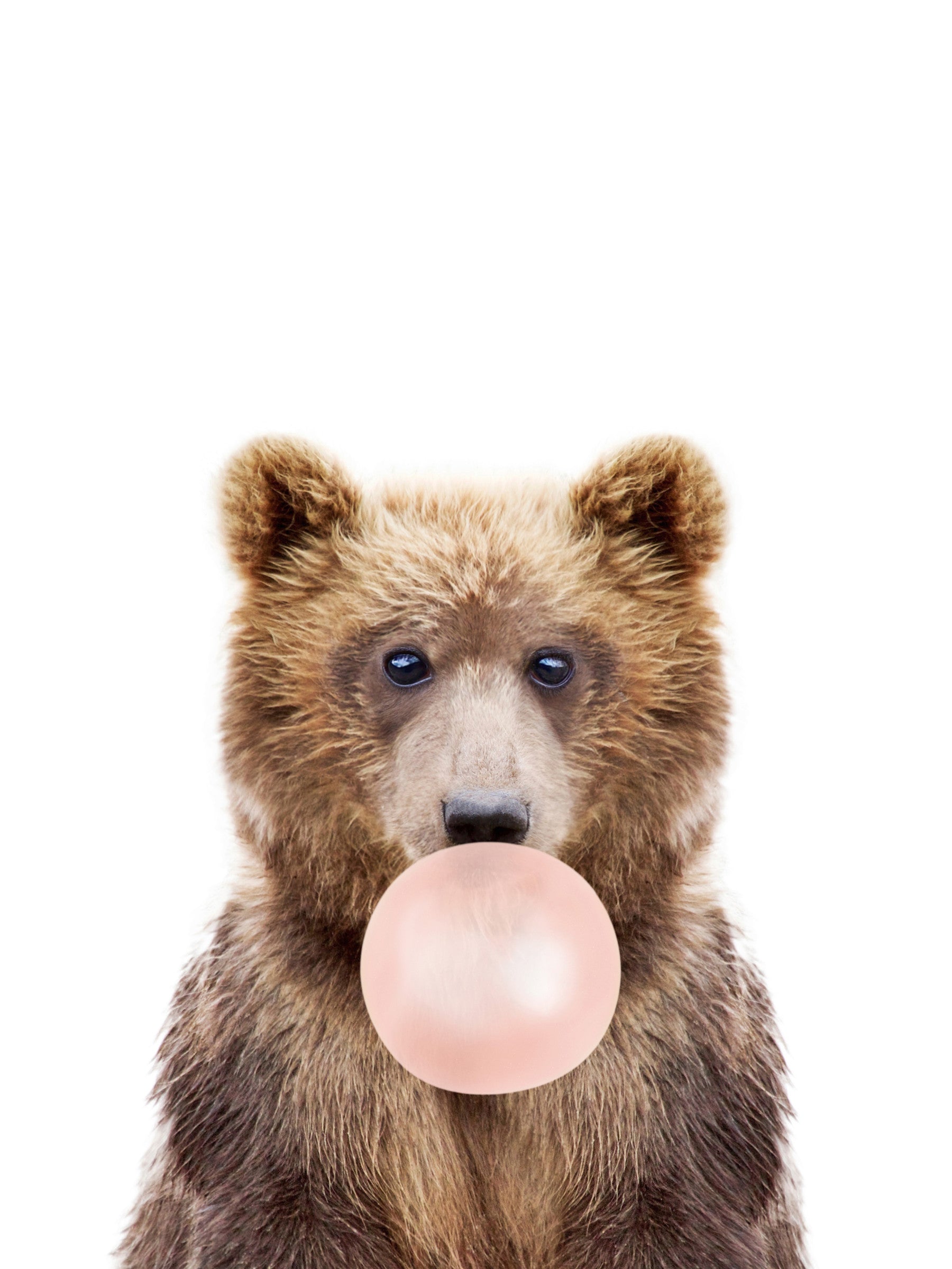 Bubble Gum Bear Wall Mural