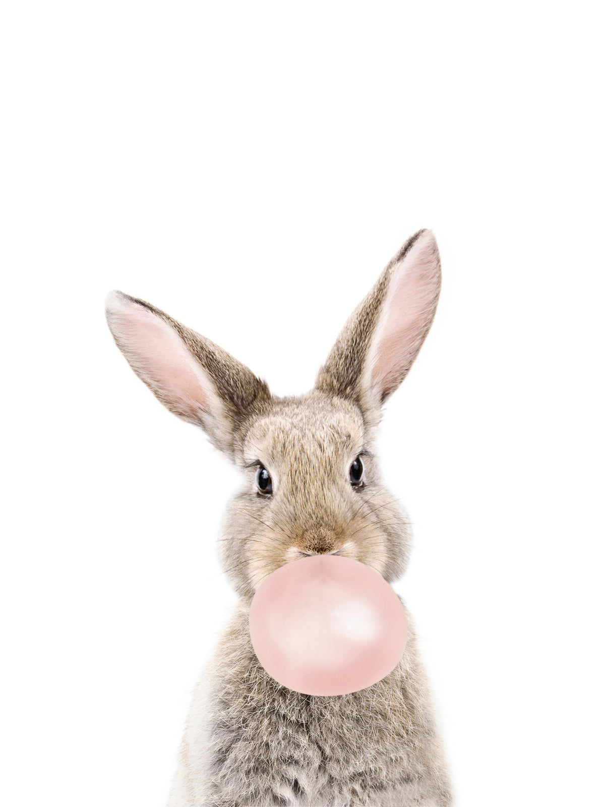 Bubble Gum Bunny Wall Mural in your room