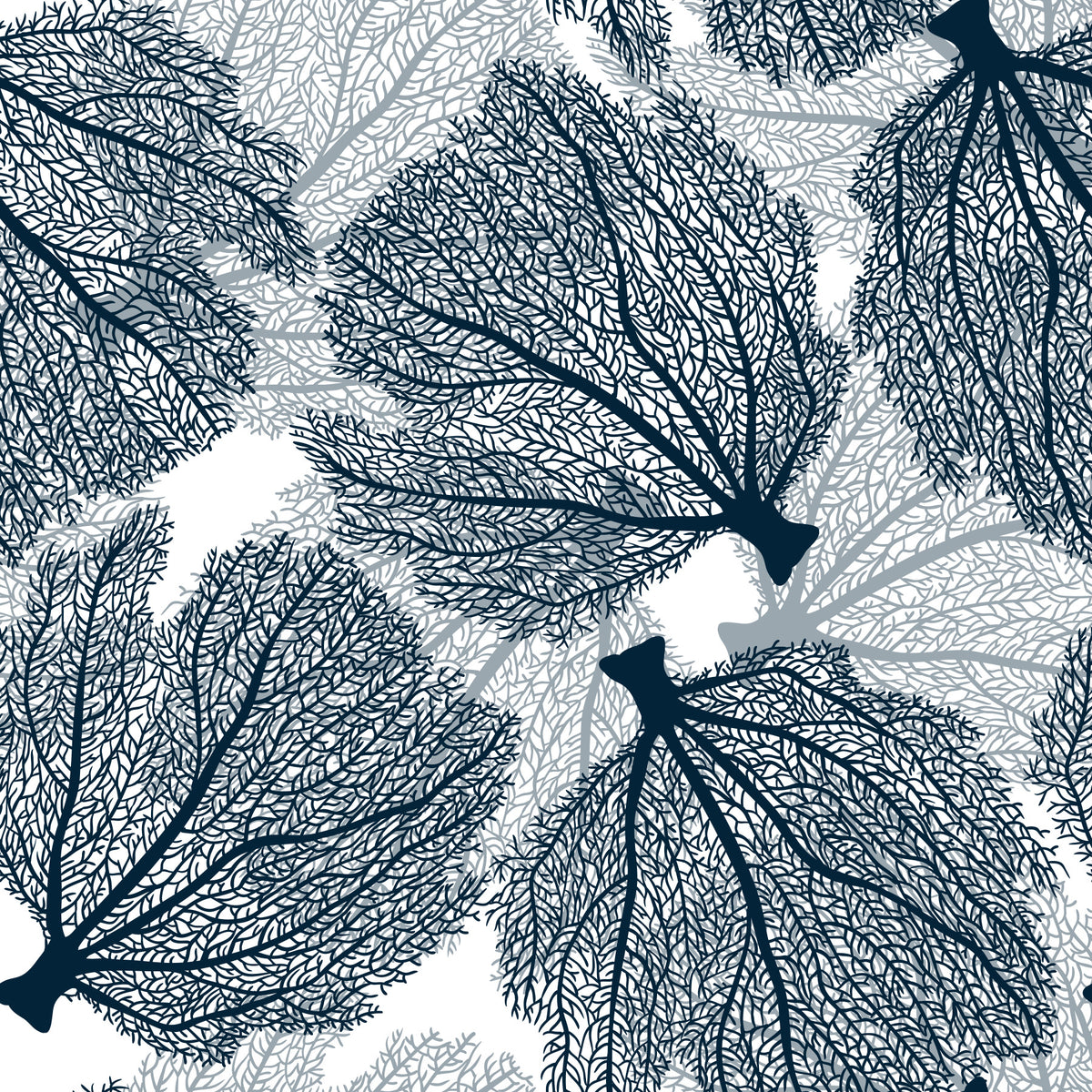 Fan coral in navy and white Wallpaper⁠ in your room
