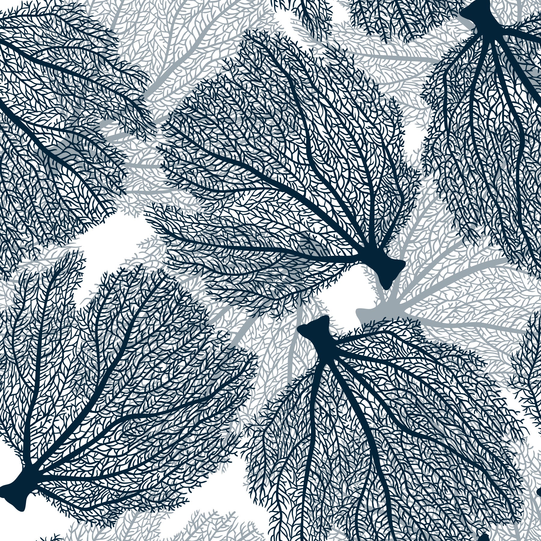 Fan coral in navy and white Wallpaper⁠