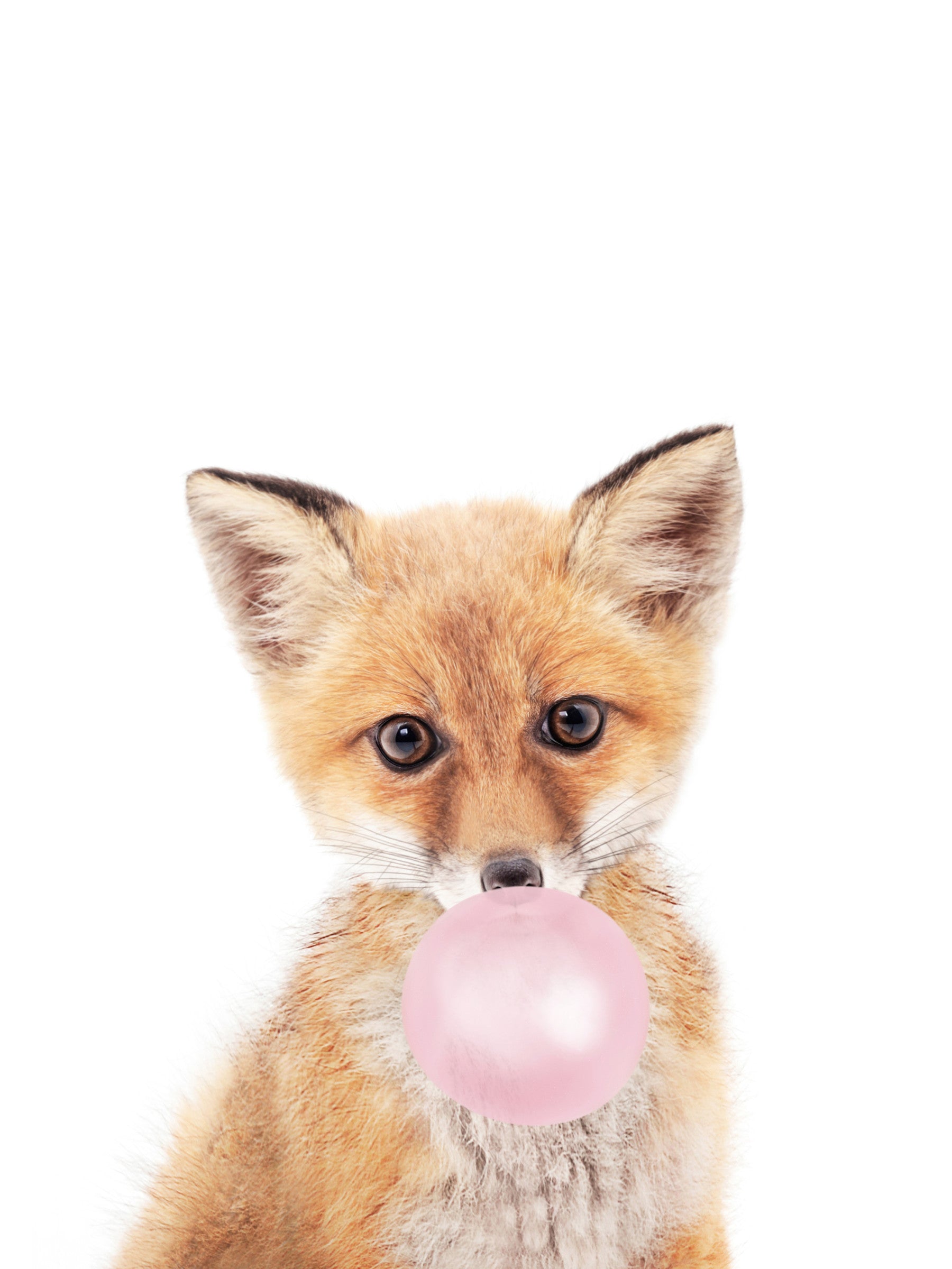 Bubble Gum Fox Wall Mural in your room — zoomed