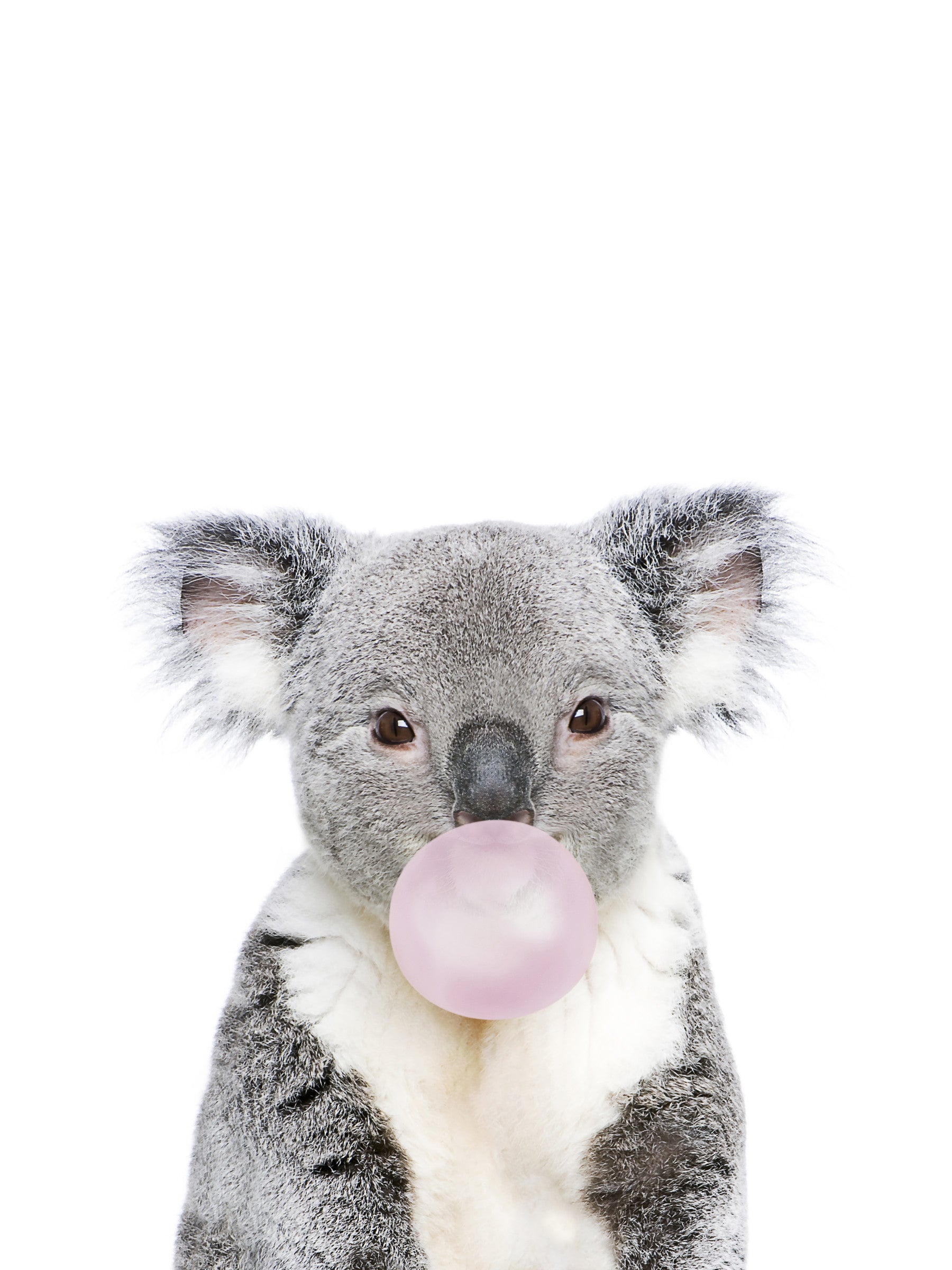 Bubble Gum Koala Wall Mural