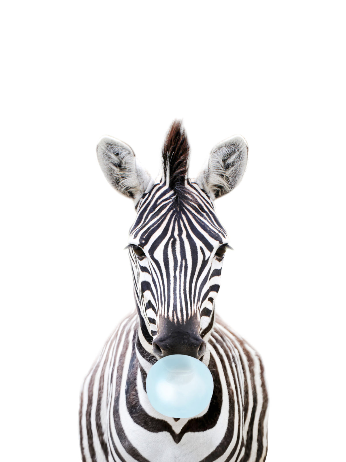Bubble Gum Zebra Wall Mural in your room
