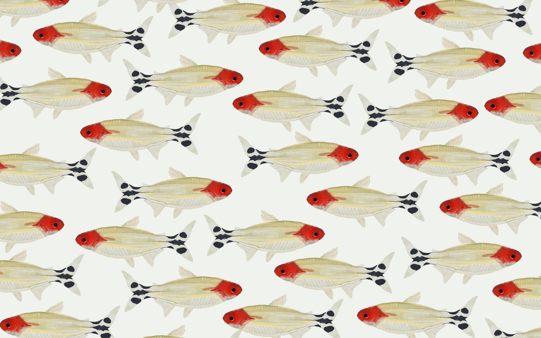 Asperum Wall Mural