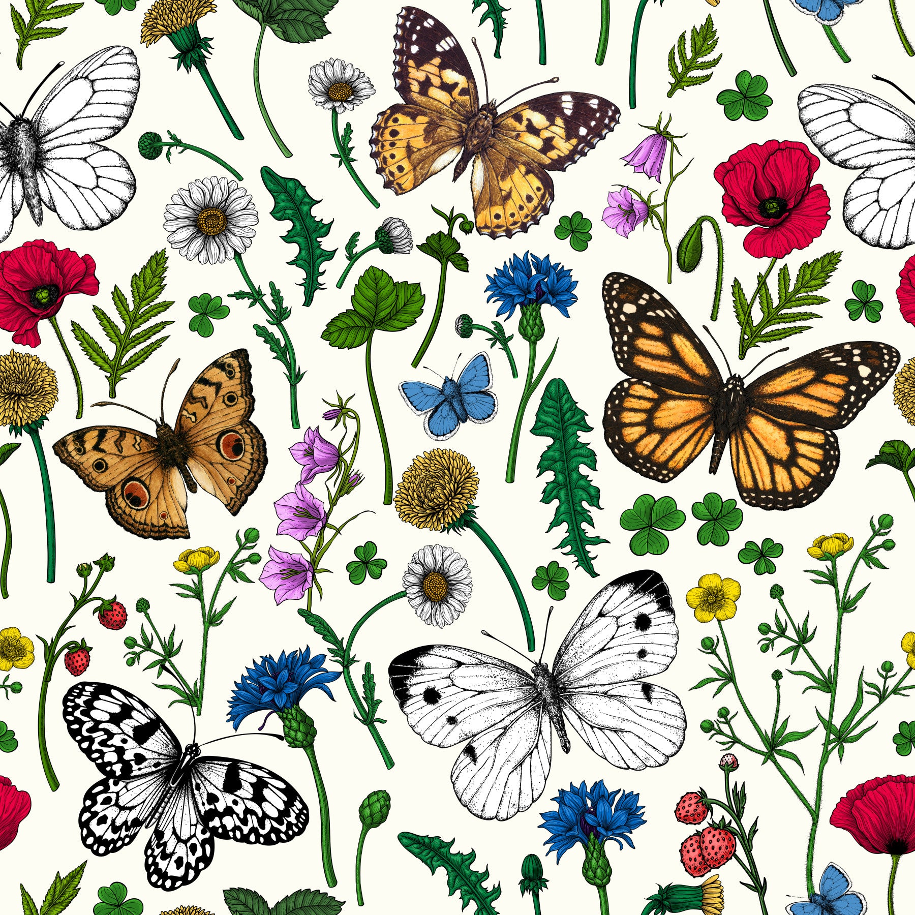 Wildflowers and butterflies Wallpaper⁠