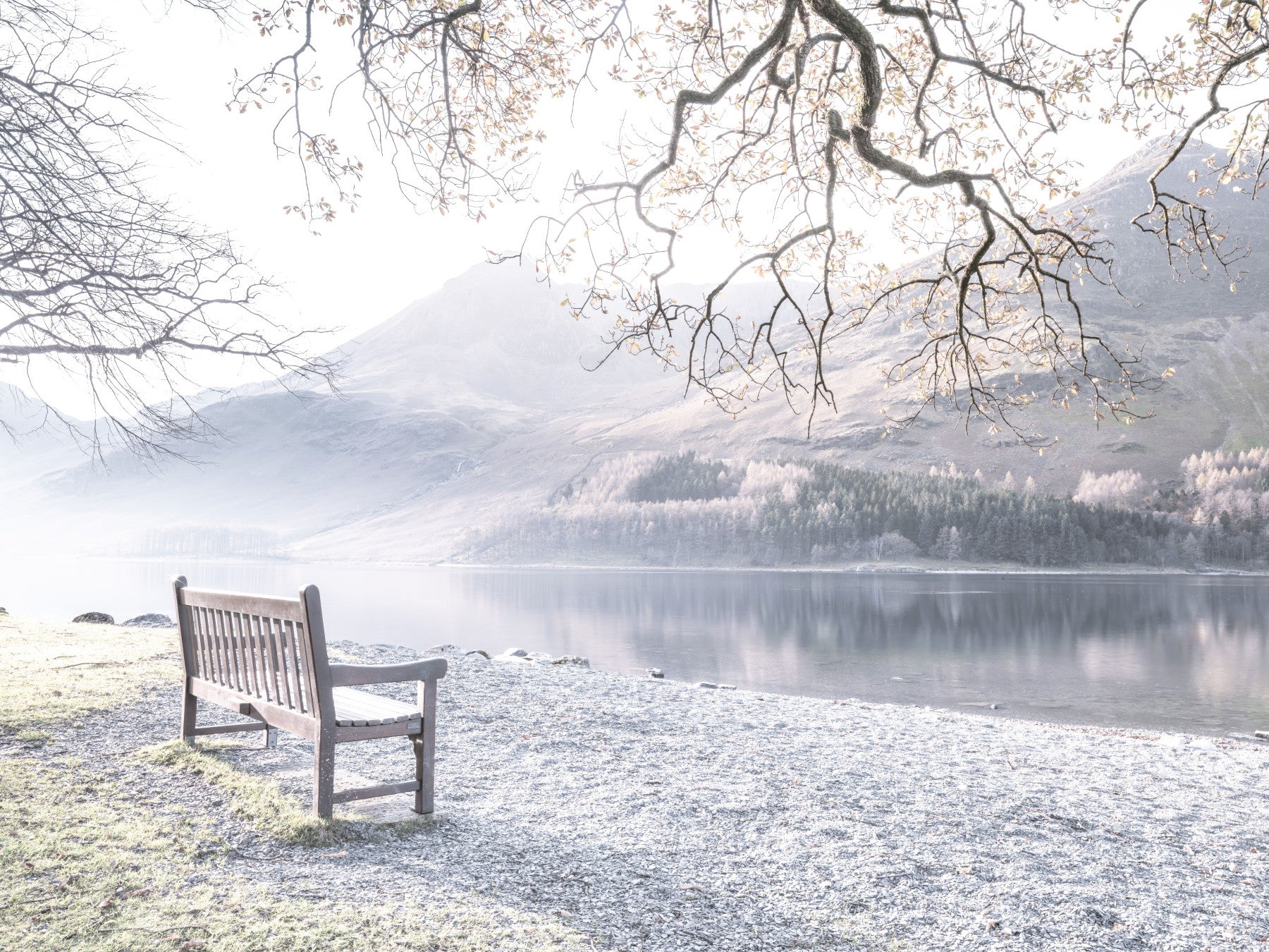Bench by Still Lake Wall Mural in your room — zoomed