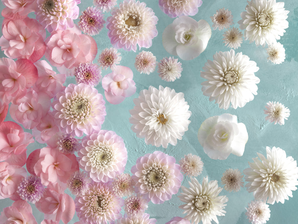 Floating Florals Wall Mural in your room — zoomed