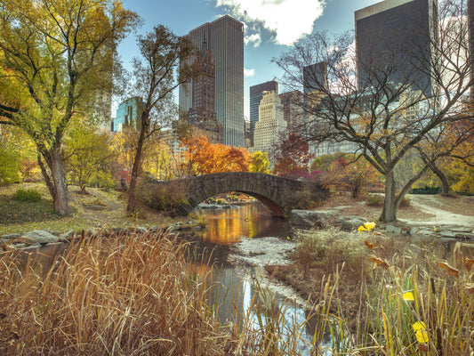 Manhattan's Autumn Embrace Wall Mural