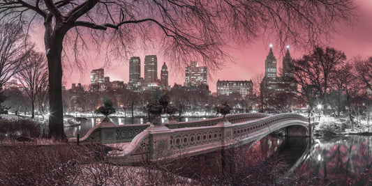 Pink Dusk over Central Park Wall Mural