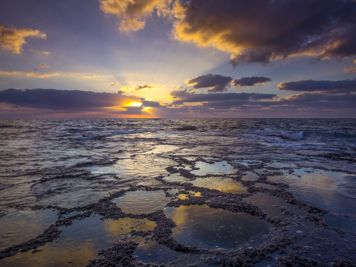 Golden Hour at the Shore Wall Mural in your room