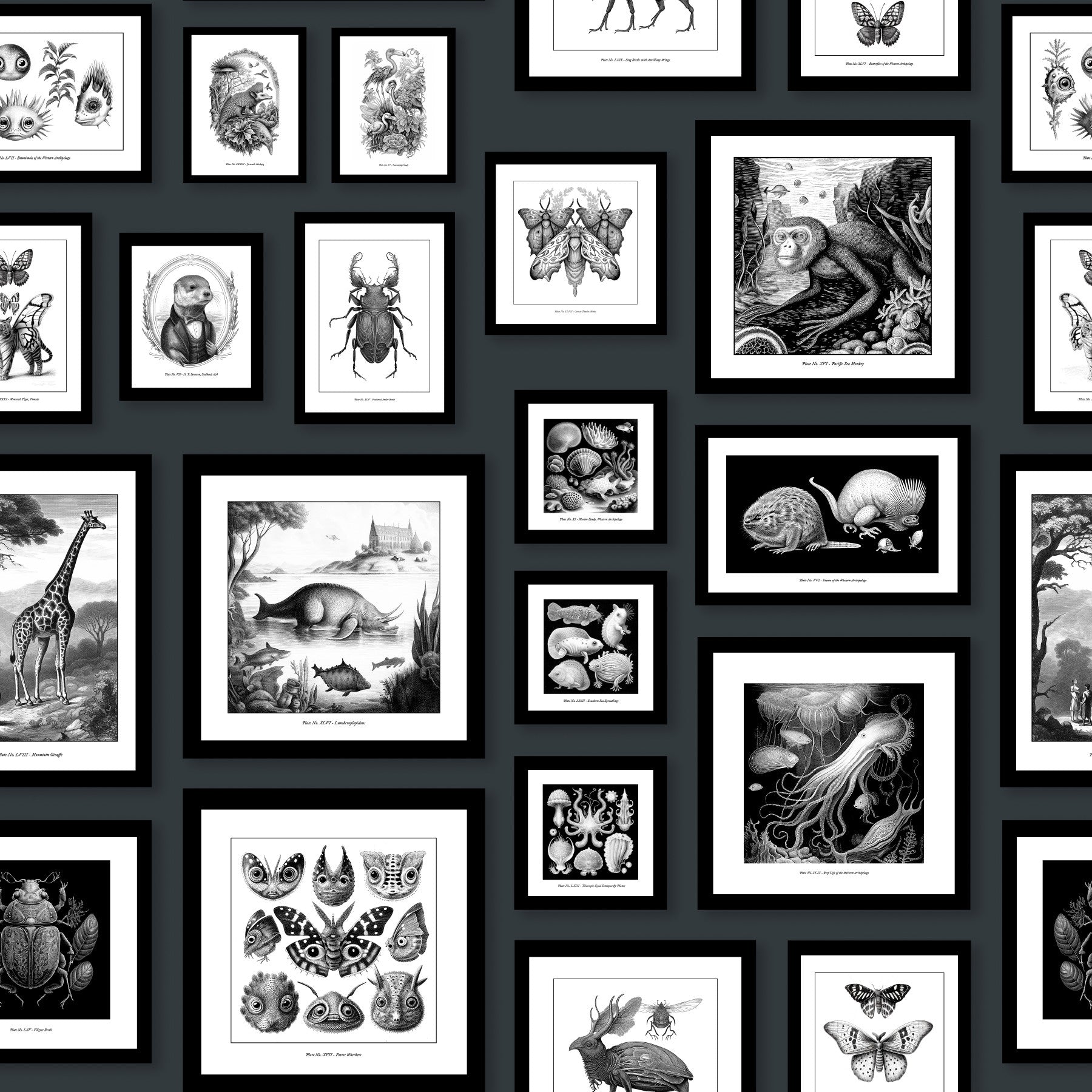Fantastic Creatures - Anthracite Wallpaper⁠