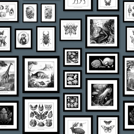Fantastic Creatures - Storm Blue Wallpaper⁠